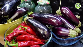 Eggplants for the winter WITHOUT FREEZING. For salads, casseroles  + hot peppers for the winter.