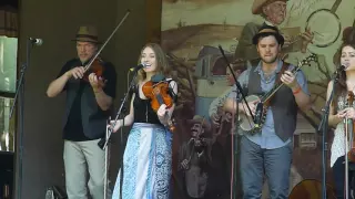 The O'Connor Family at the 2016 Wind Gap Blue Grass Festival