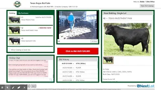 Texas Angus Bull Sale