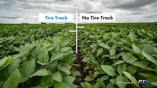 2019 Ag Traction Expo | Planting in the Tracks of Goodyear LSWs: A Yield Crusher or Inflator?