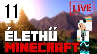 5X VAC!! 🐼 ÉLETHŰ MODOLT Minecraft 11. rész