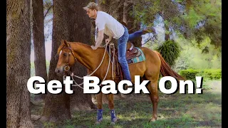 How To Regain Confidence After A Horse Fall/Wreck! (Best Way)