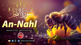 Best Recitation of Surah An Nahl || Peaceful & Emotional Voice || Ahmad Al-Shalabi || Deen