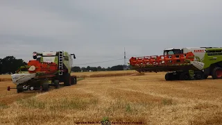 Claas - Fendt - Hawe / Getreideernte - Grain Harvest  2023