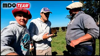 VIDA CAMPESTRE HOY TOCA VACUNACION EN EL CAMPO