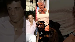 sylvester stallone 2023 evolutio