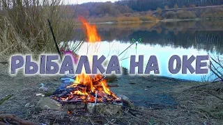 Рыбалка на Оке, Самоизолировался на Реке , Неожиданный Улов на Живца