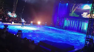 Disney On Ice Brazil - Ariel