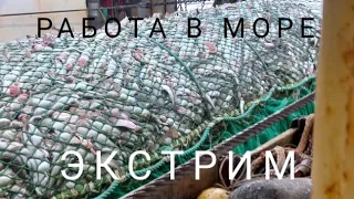 Рыбалка для настоящих мужиков | Экстремальная работа в Баренцевом море