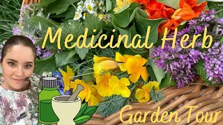 Medicinal Herb Garden Tour | Part 1 of Medicinal series | Perennial Herbs