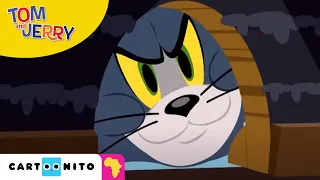 Tom and Jerry: House Cat | Cartoonito Africa
