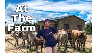 A DAY AT THE FARM || FARMING IN ZAMBIA || LAND IN ZAMBIA