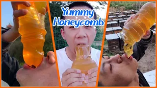 ABS Honey BEE | Best HoneyComb Eating ASMR | Eating Videos🎖️18