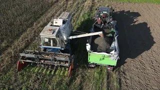 Sonnenblumen Ernte 2022 mit alter bewehrter Technik dem Fortschritt E 512