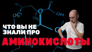 Что такое аминокислоты? Душкин объяснит