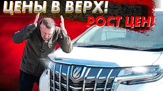 Цены растут на правый руль! Какие прогнозы?