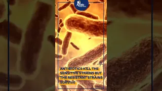 How does antibiotic resistance occur? | Apollo Hospitals