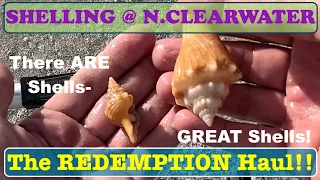 SHELLING at N CLEARWATER Beach FL -  Redeemed!