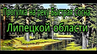 ПРОГУЛКА на реку Быстрая  сосна ЛИПЕЦКОЙ ОБЛАСТИ 21.04.2018г