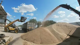 🔥🔥🔥Горит зерно в складе🔥🔥🔥 Перекидаємо СОМ 30 М та ЗМ 60 У від Заводу Мороза Зернометатели в работе