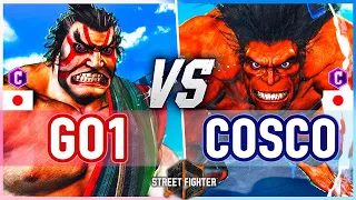 SF6 🔥 GO1 (E.Honda) vs Cosco (Blanka) 🔥 Street Fighter 6