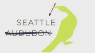 Seattle Audubon is changing its name