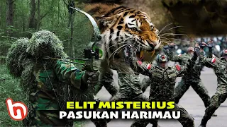 Misterius & Sangat Rahasia, Inilah Fakta Tersembunyi Dari Pasukan Harimau, Tentara Elit Indonesia