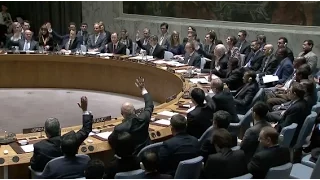 UN Security Council Adopts Resolution to Cut off Islamic State Funding