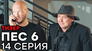Сериал ПЕС 6 - 6 сезон - 14 серия - ТИЗЕР | СЕРИАЛЫ ICTV