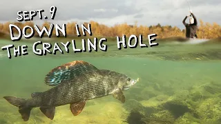 Rise of the Grayling King