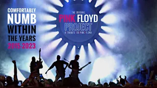 COMFORTABLY NUMB | The PINK FLOYD Project | within the years 2015-2023