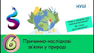 Причинно-наслідкові зв’язки у природі