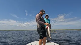 INSANE guided Bass trip on Lake Okeechobee!! (Over 30lbs)