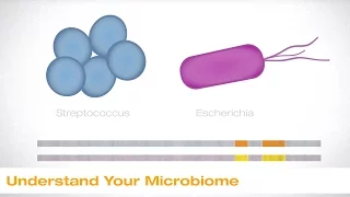 Understand Your Microbiome | Illumina Webinar