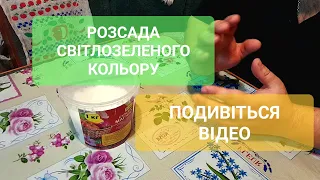 Насичений зелений колір розсади помідорів///Підкормка розсади Магнієм@Dacha_Sad_Gorod