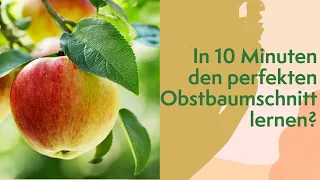 In 10 Minuten den perfekten Obstbaumschnitt lernen?