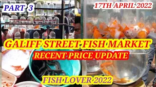 GALIFF STREET FISH MARKET VISIT 17TH APRIL 2022