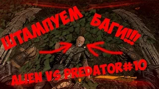 Alien vs Predator(Баги, баги и баги!!!) ==10