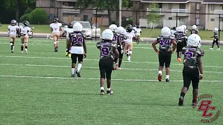 GEORGIA VS ALABAMA | 8U #1 ATL ELITE VOODOO VS BESSEMER TIGERS