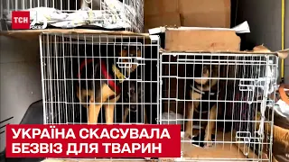 🐶 Україна скасувала "безвіз" для тварин під час перетину кордону з ЄС