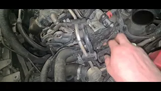 Ford z silnikiem DW10F Proste uszczelnienie pompy podciśnienia ( pompa vacum )