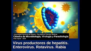 Seminario Injuria 06. Hepatitis - Enterovirus - Rotavirus - Rabia