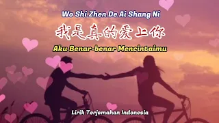 Wo Shi Zhen De Ai Shang Ni-我是真的爱上你【Aku Benar-benar Mencintaimu/ I Truly Do Love You】