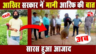 आरिफ सारस के दोस्त की बात मानी सरकार ने | arif gurjar saras ka dost  | arif ka saras latest news