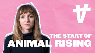 The Start of Animal Rising