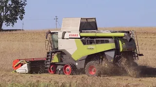 Harvest '21. Brand new Claas Lexion 6700 harvests spring barley.