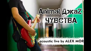 Animal ДжаZ — Чувства acoustic live by ALEX MOR