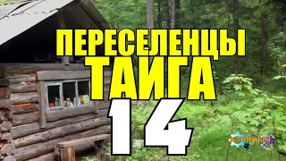 ПЕРЕСЕЛЕНЦЫ В ТАЙГЕ | КЛАДЫ И СОКРОВИЩА ЗА ОКНОМ | БРОДЯГА - КЛАДЫ В ПОГРЕБАХ | УБИЙСТВО ЧЕЛОВЕКА 14