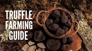 How To Grow Truffles: An In-Depth Guide for Beginners