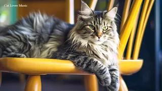 Music for Cats - Relaxing Harp Music & Cat Purring Sounds / Stress Relief, Anxiety Relief #1